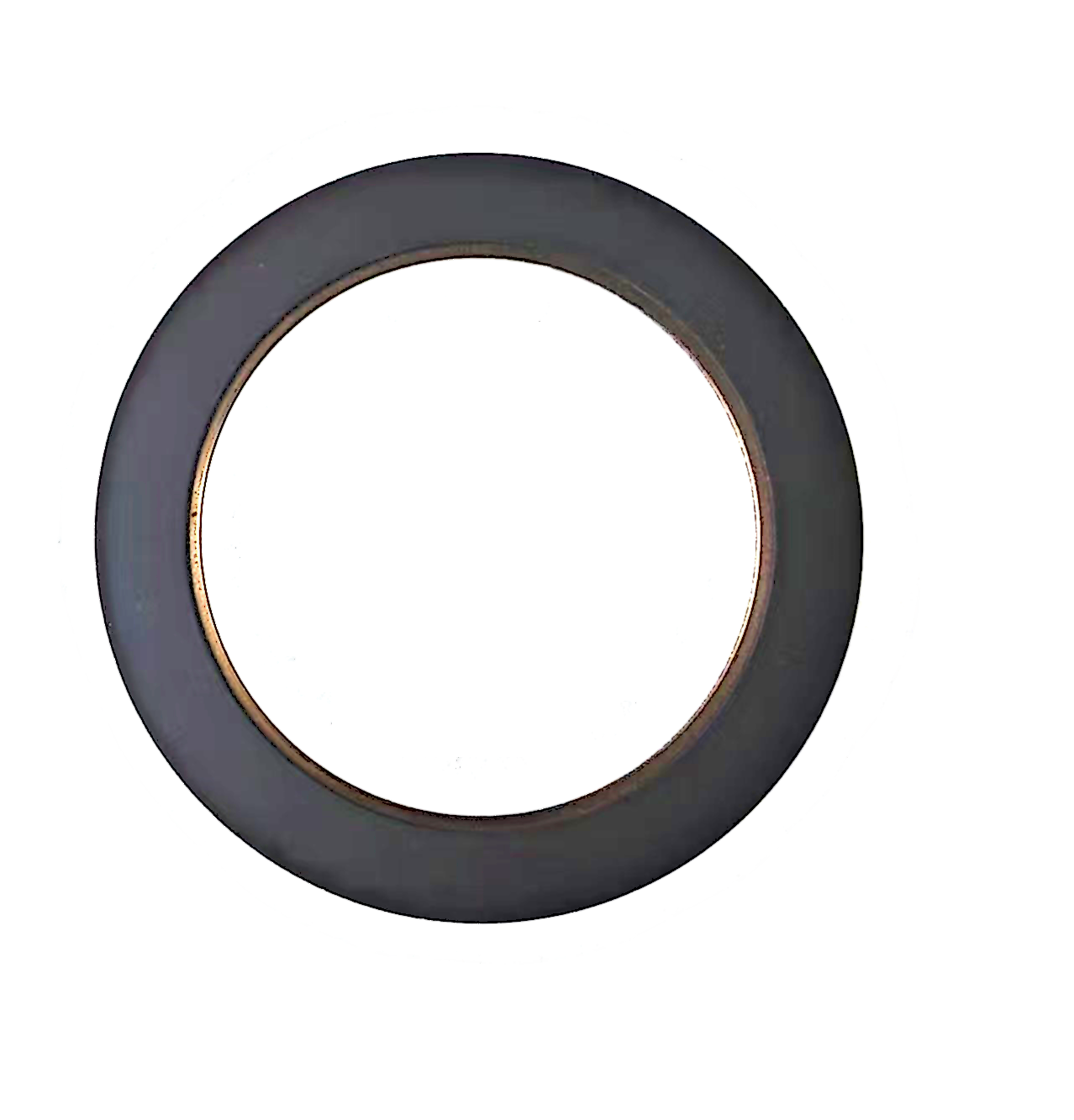 32/31 pair of poles 2 Track nonius encoder disc for magnetic encoder IC HAUS iC-MU200 Axial  Assembly