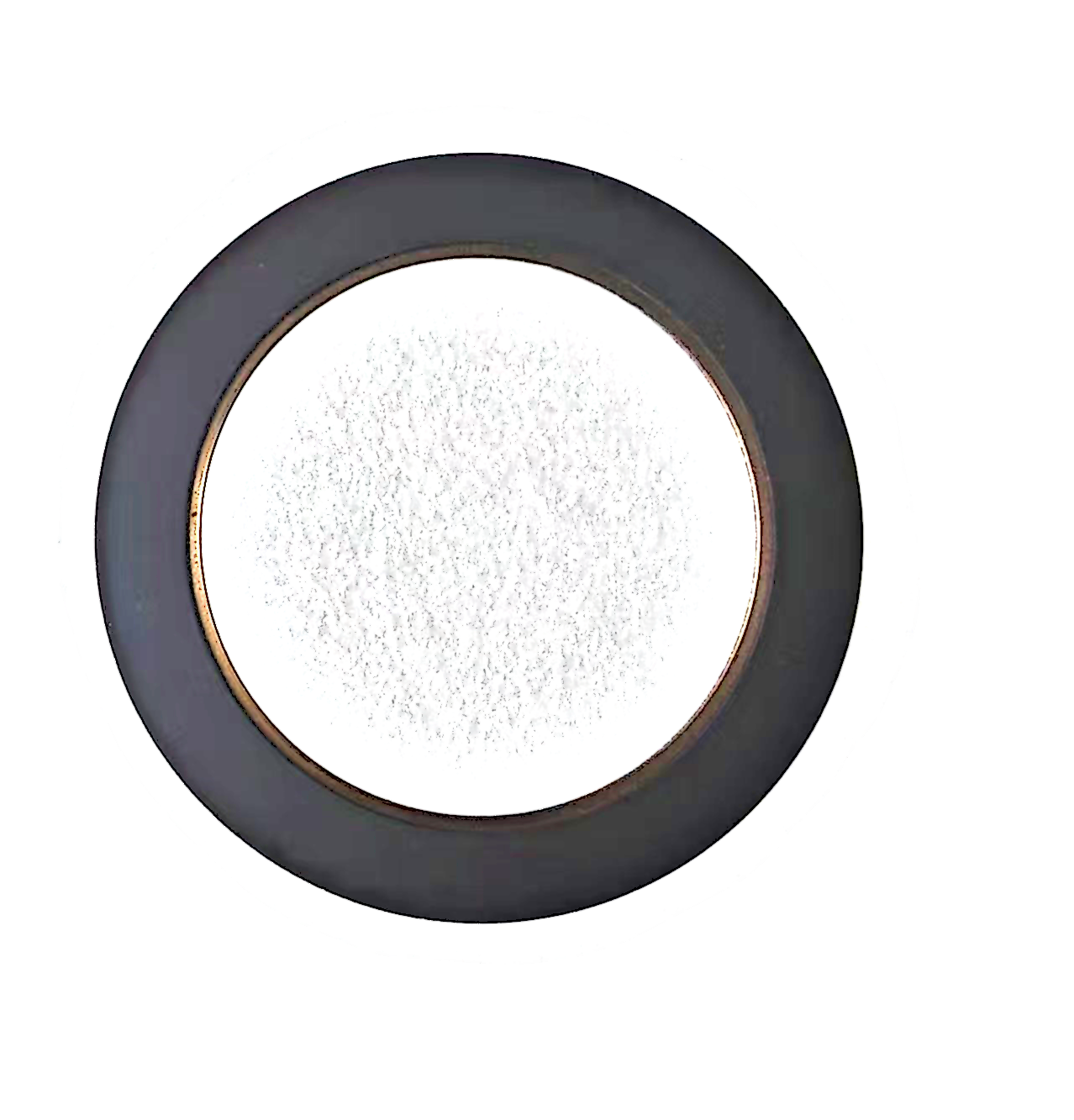 32/31 pair of poles 2 Track nonius encoder disc for magnetic encoder IC HAUS iC-MU150 Axial  Assembly